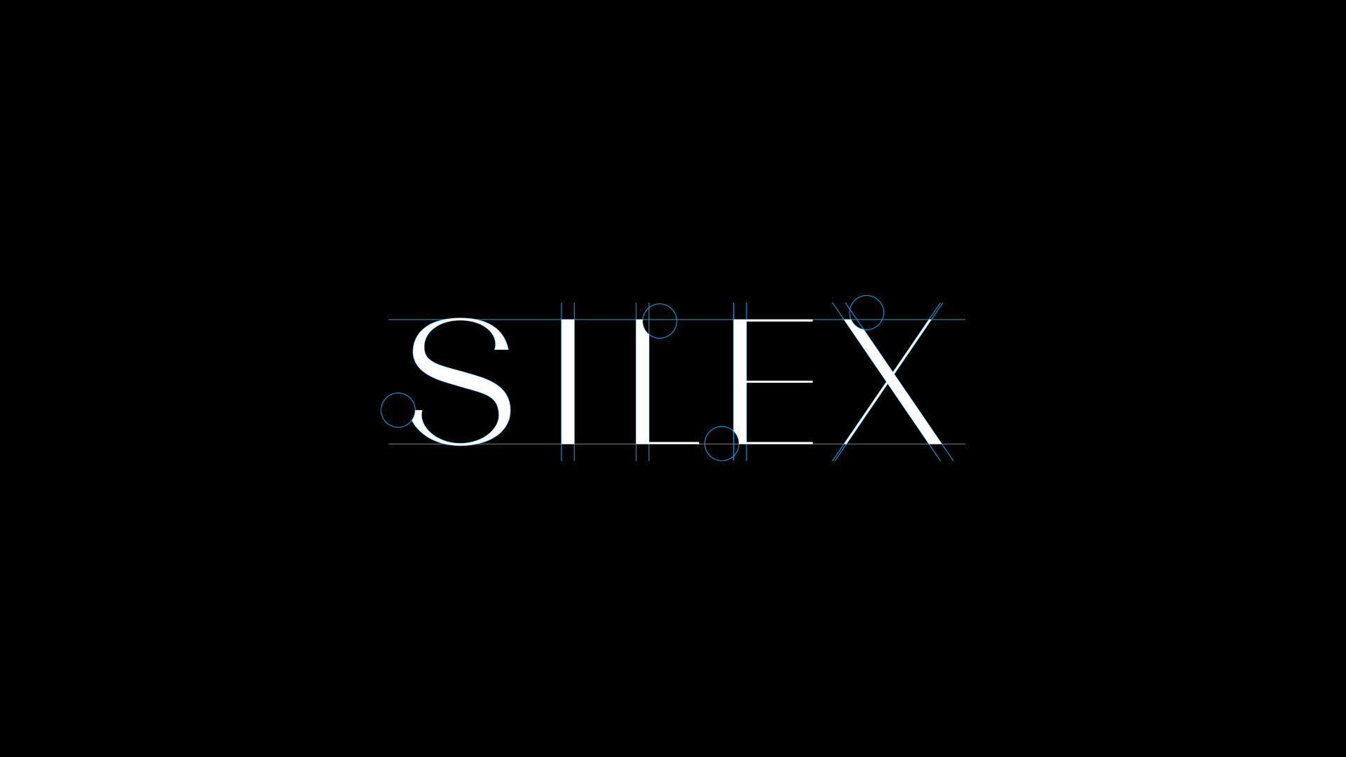 Silex-Type